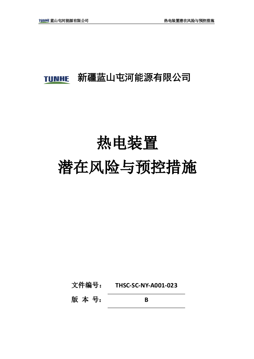 某能源公司热电装置潜在风险与预控措施概述