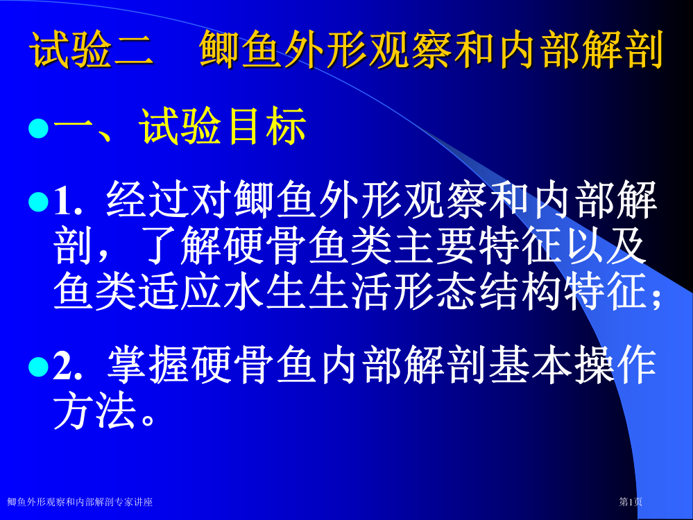 鲫鱼外形观察和内部解剖专家讲座