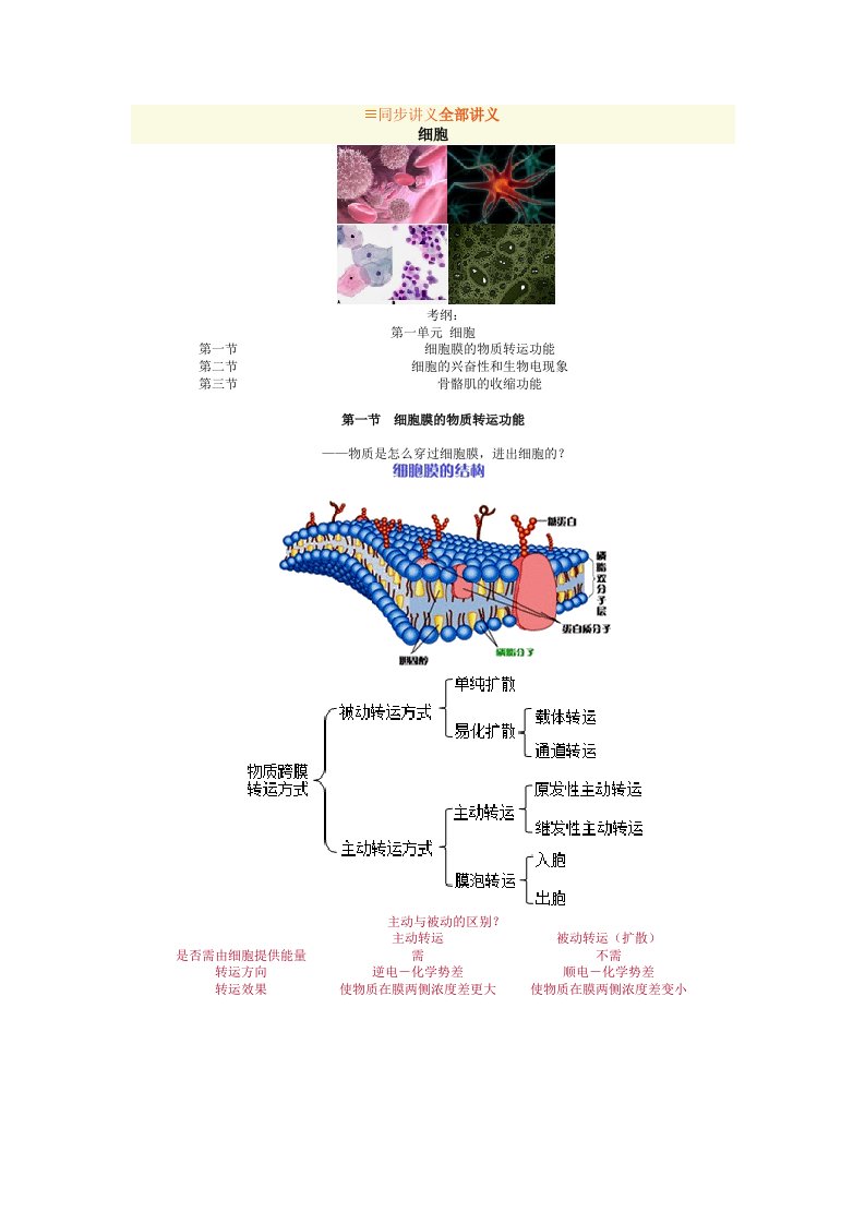 生理学讲义