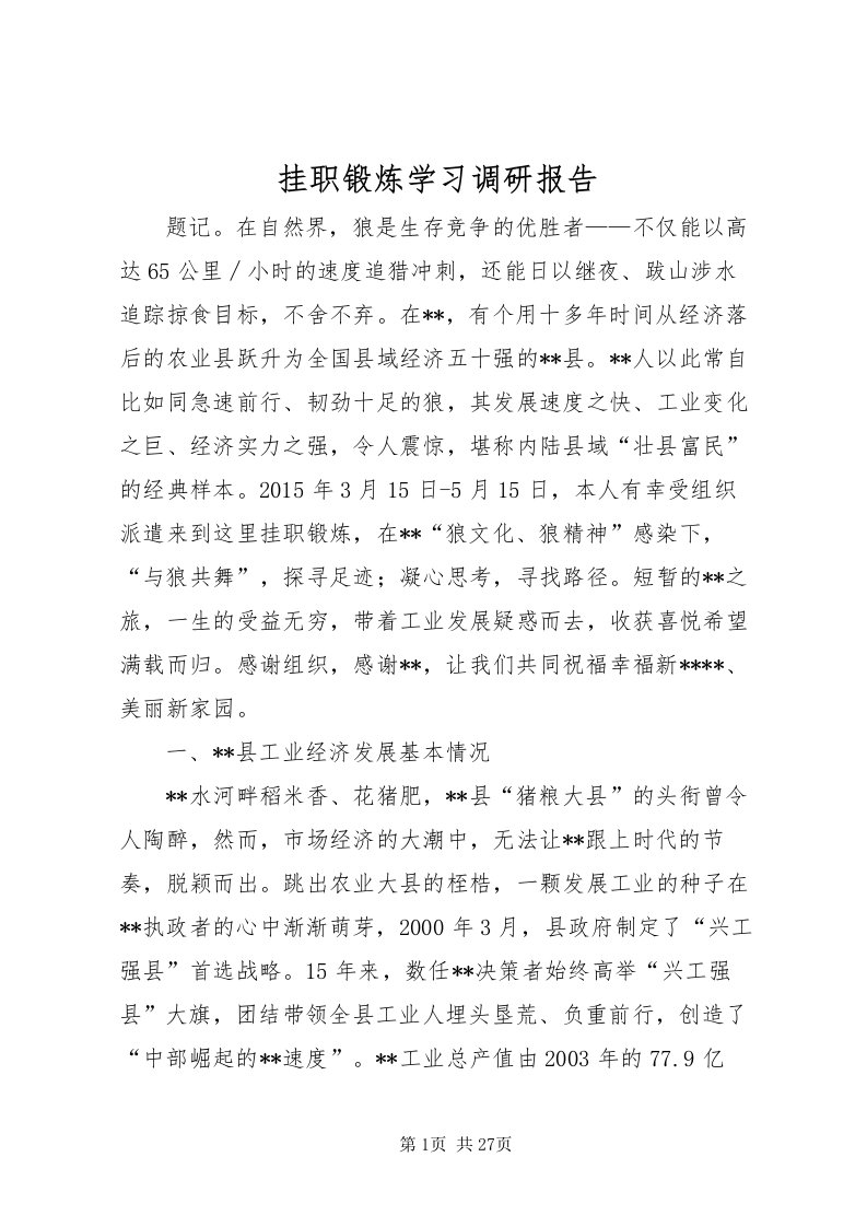 2022挂职锻炼学习调研报告