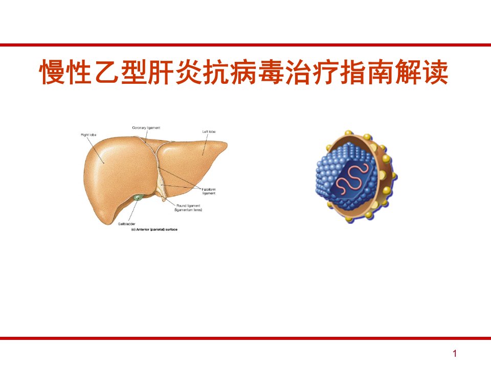 慢乙肝抗病毒治疗指南解读