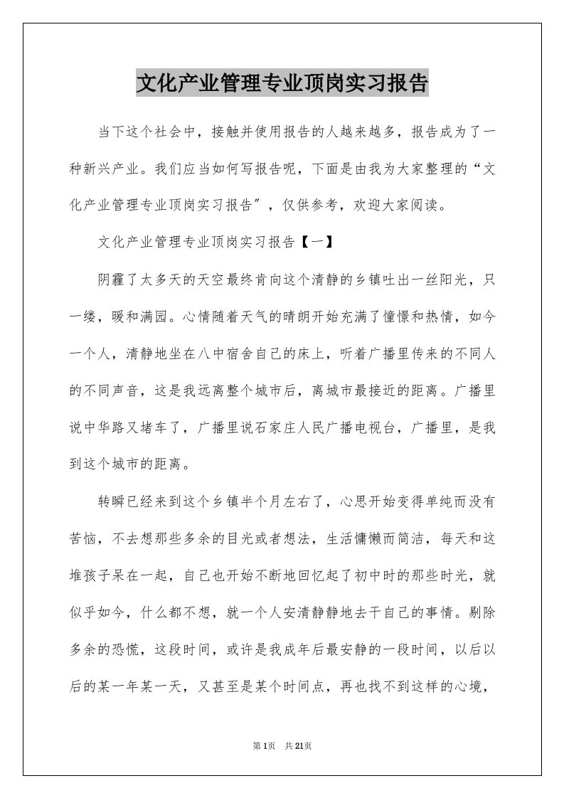 文化产业管理专业顶岗实习报告