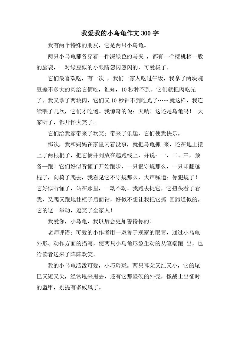 我爱我的小乌龟作文300字