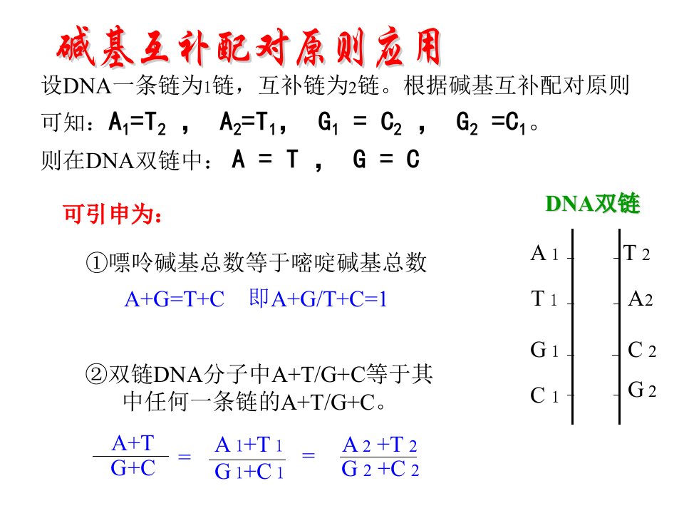 碱基互补配对原则计算