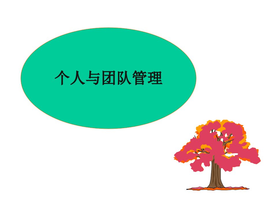 个人与团队管理(ppt