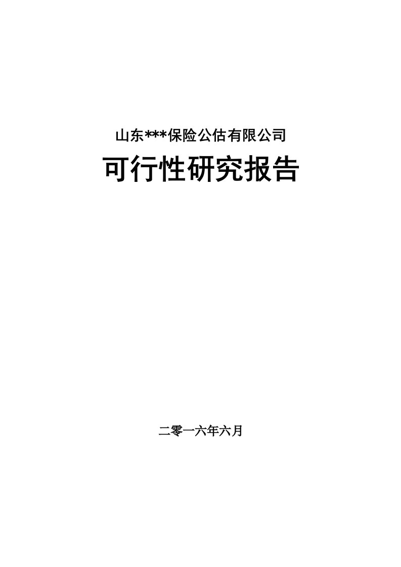 保险公估有限公司可行性研究报告要点