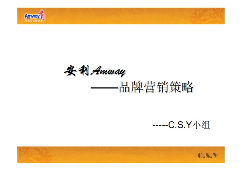 安利Amway——品牌营销策略