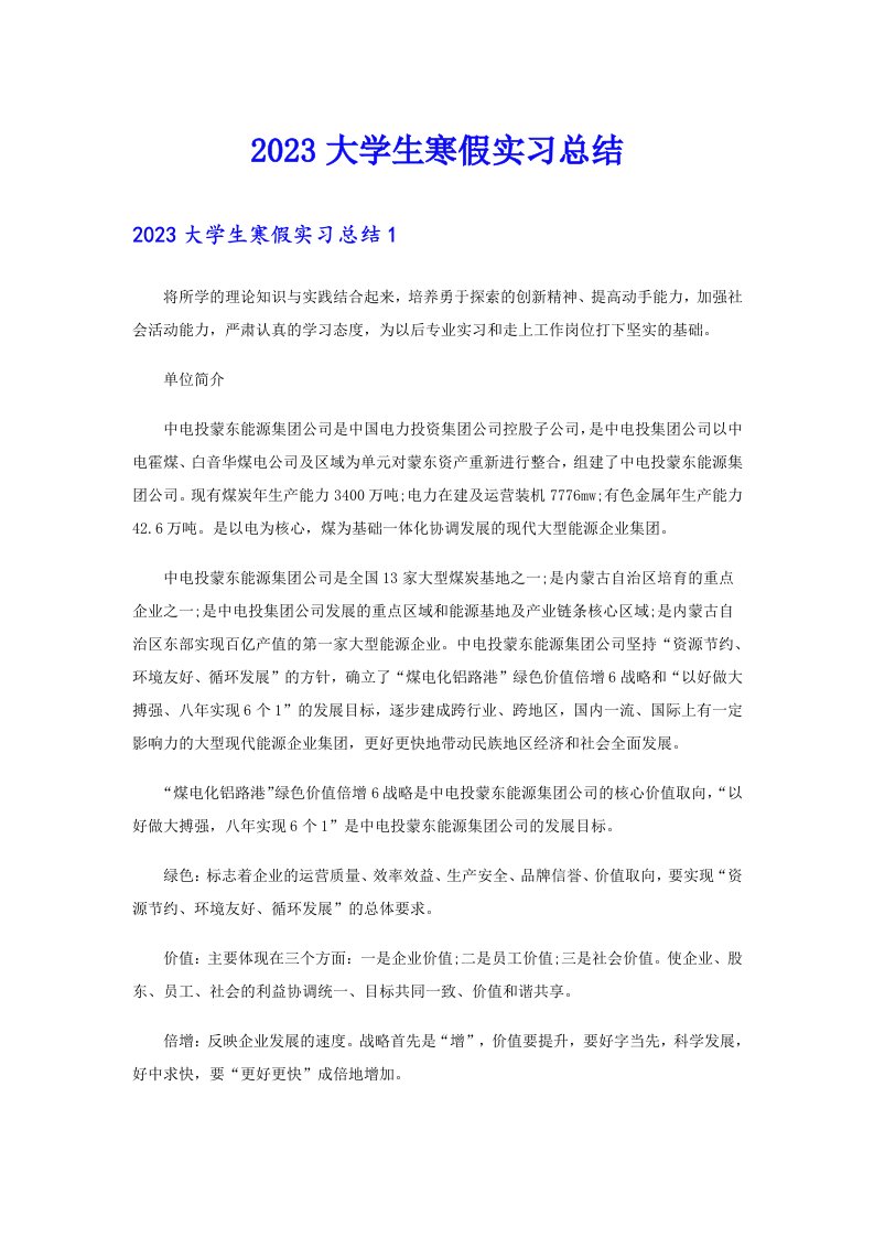 2023大学生寒假实习总结