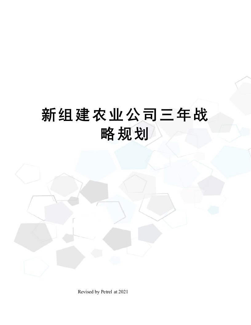 新组建农业公司三年战略规划