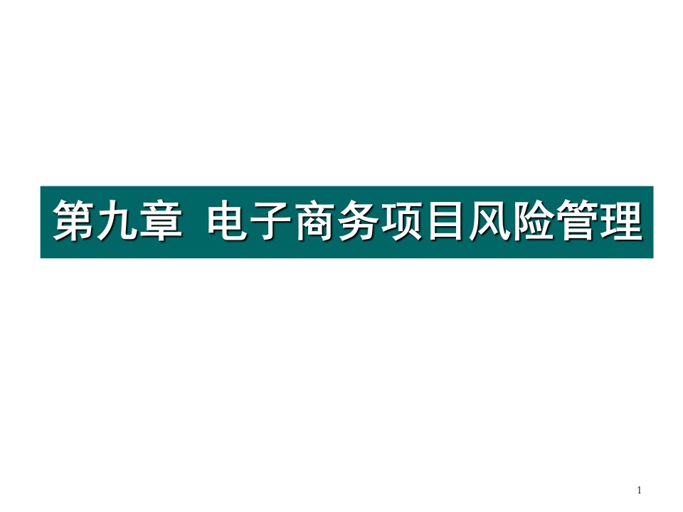 风险管理-第九章电子商务项目风险管理