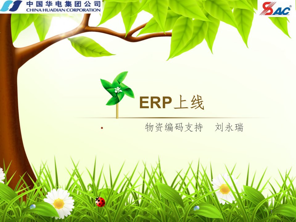 ERP上线支持PPT课件