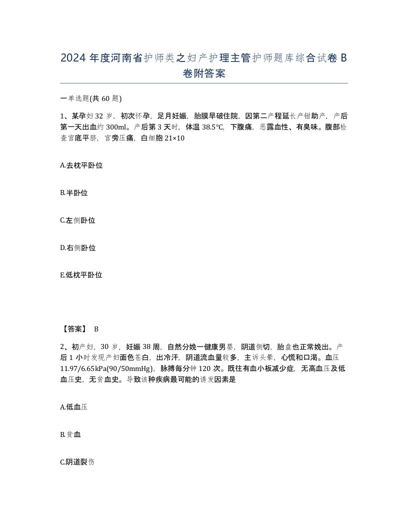 2024年度河南省护师类之妇产护理主管护师题库综合试卷B卷附答案