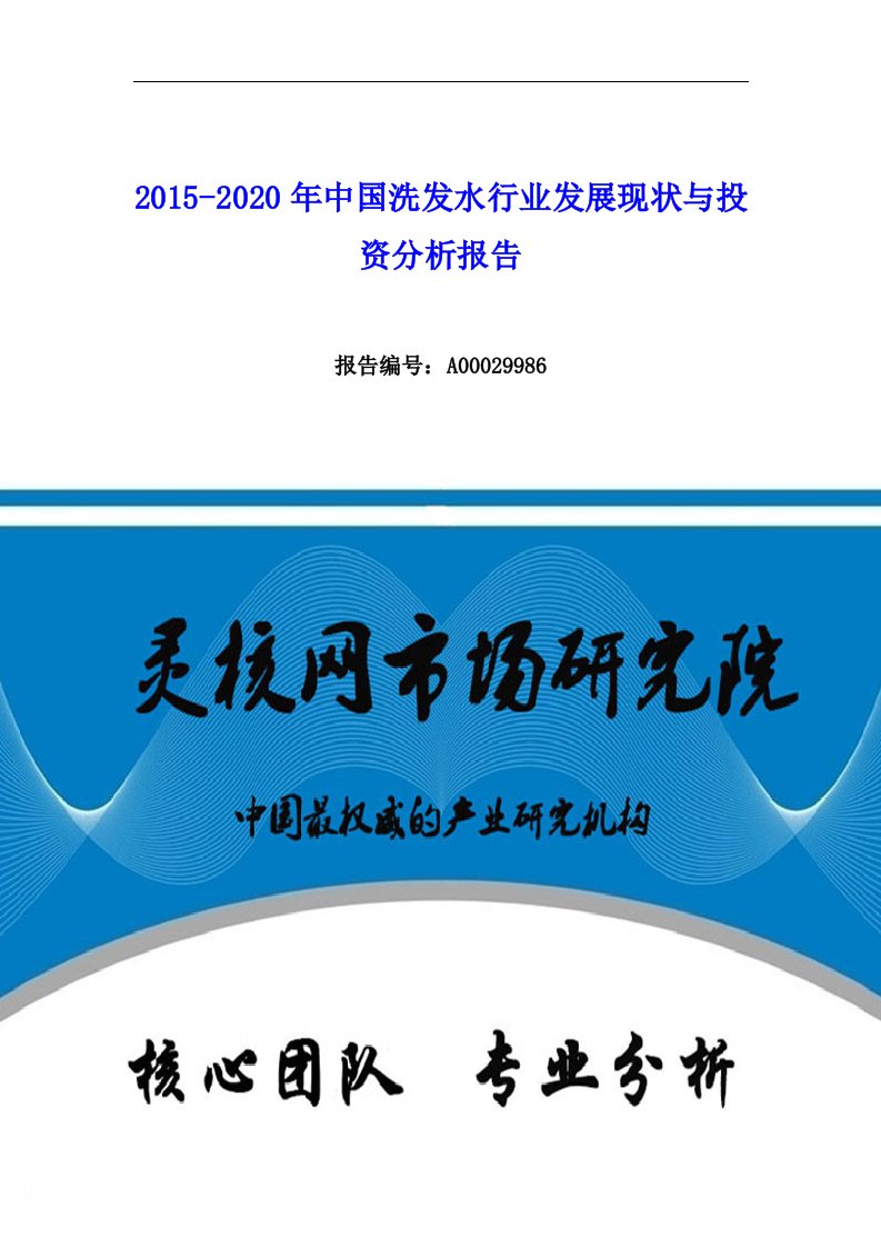 中国洗发水行业发展现状与市场分析报告—灵核网