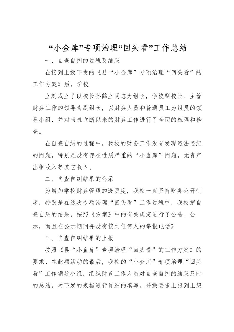 2022小金库专项治理回头看工作总结_1