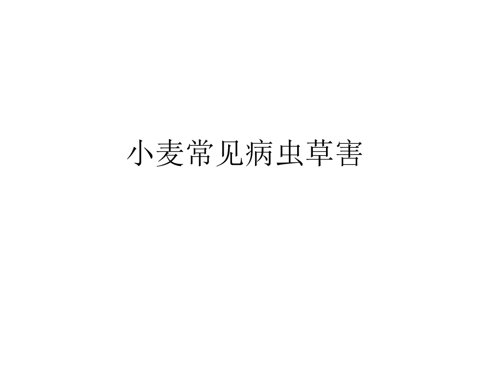 小麦常见病虫草害