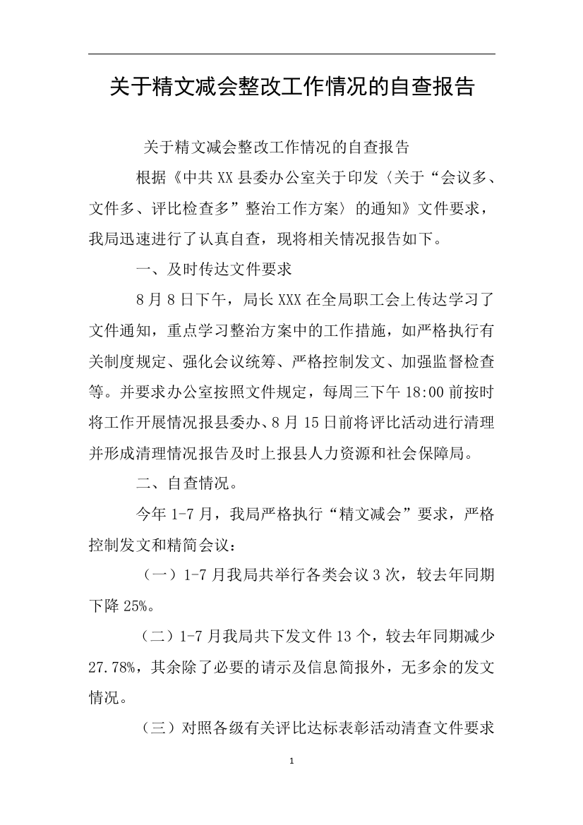 关于精文减会整改工作情况的自查报告