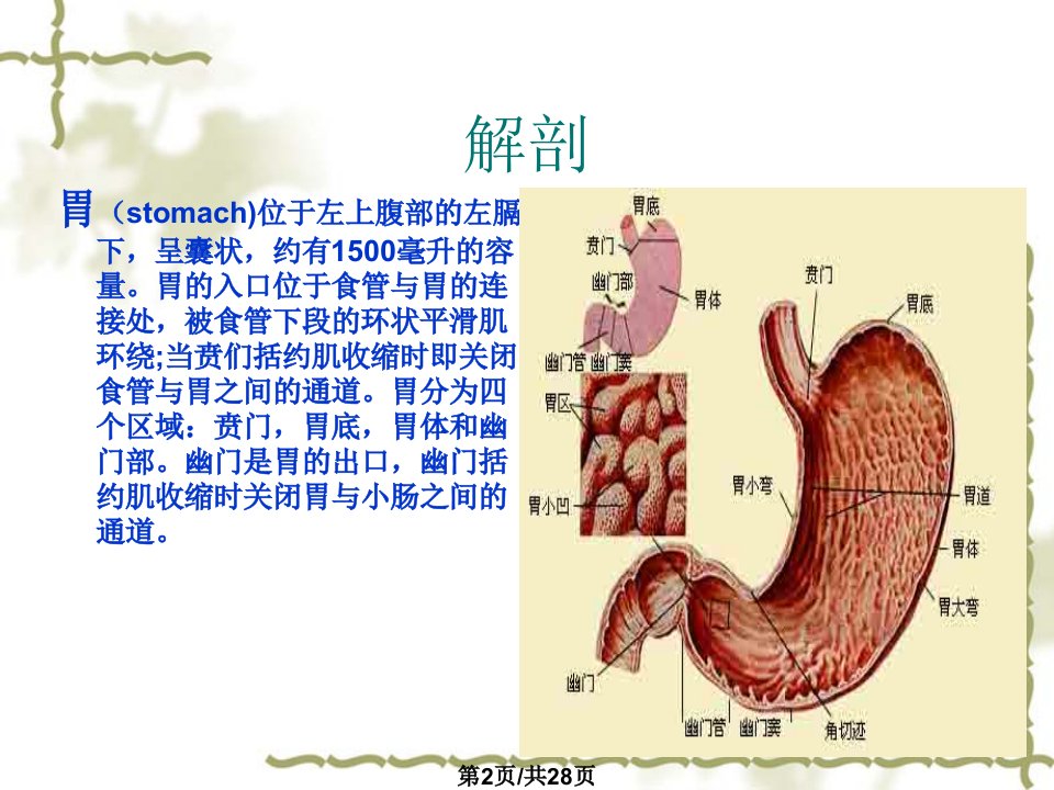 腹腔镜胃癌根治术手术配合讲诉