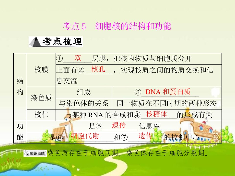 高二生物细胞核的结构和功能