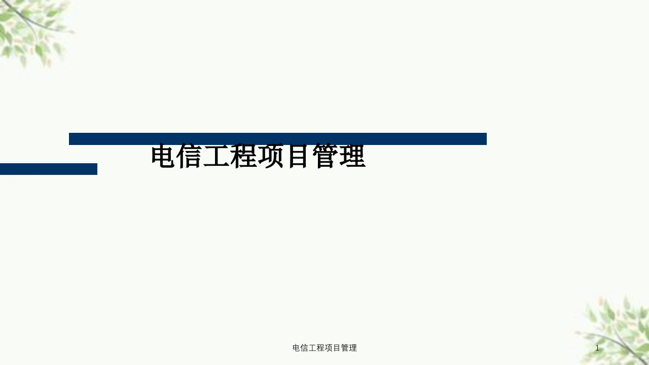 电信工程项目管理课件