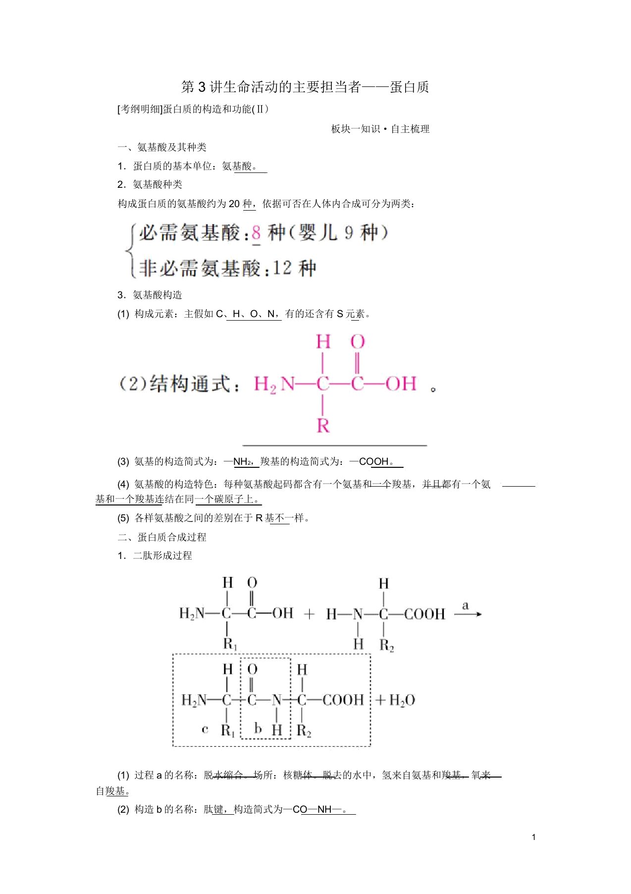 (全国版)2019版高考生物一轮复习第3讲生命活动的主要承担者——蛋白质培优学案