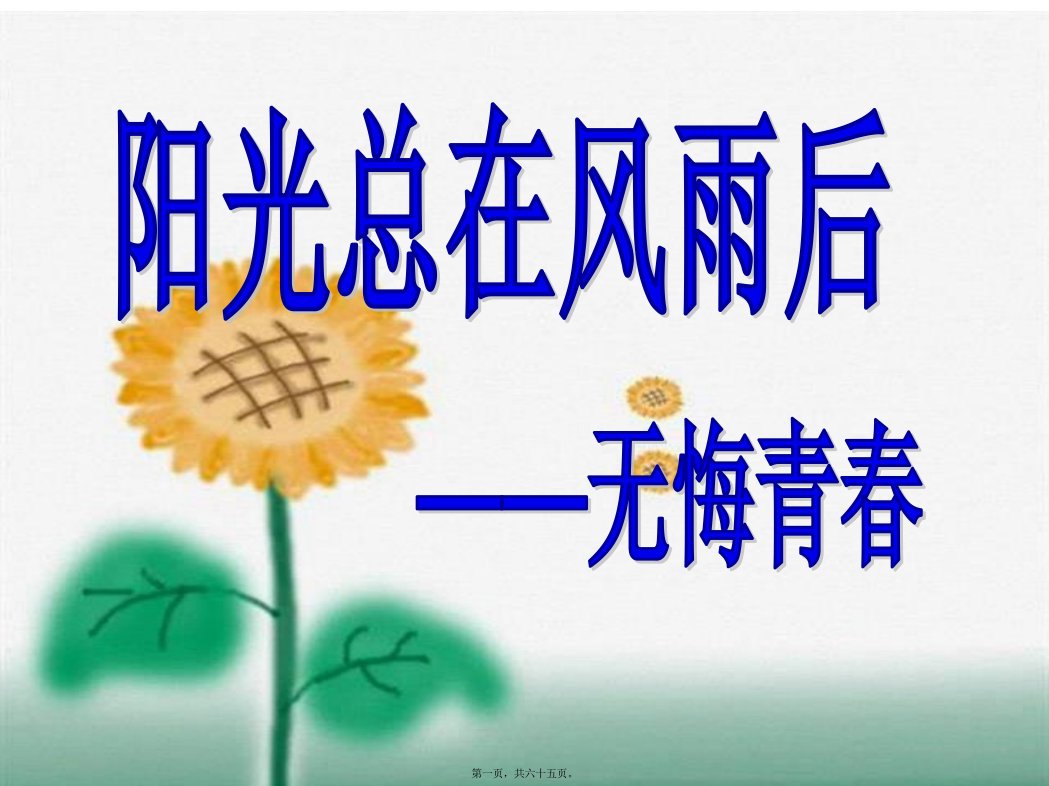 主题班会《无悔青春》ppt