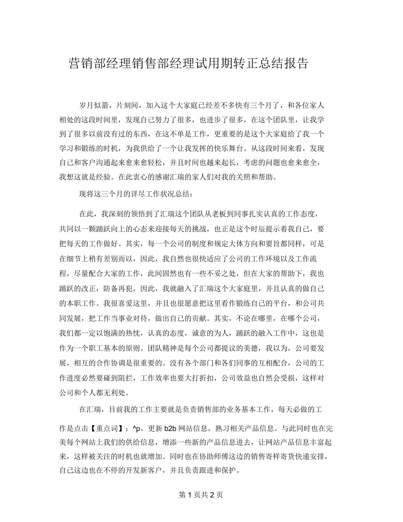 营销部经理销售部经理试用期转正总结报告