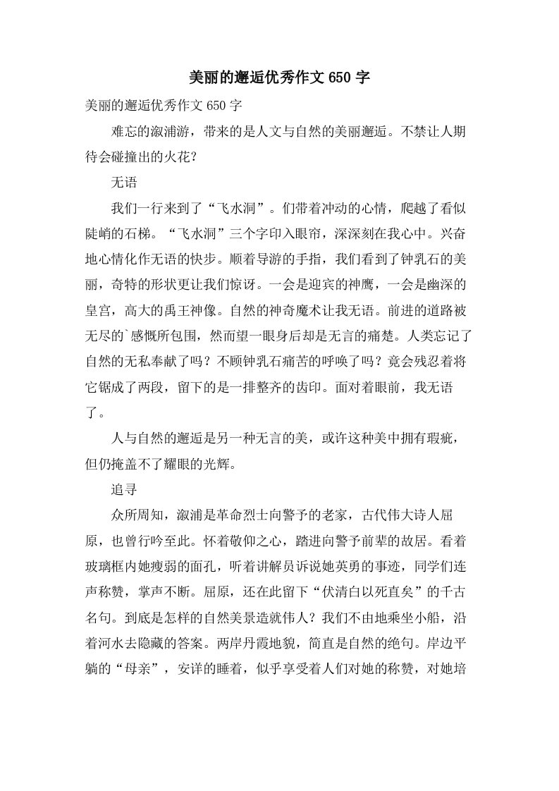 美丽的邂逅作文650字