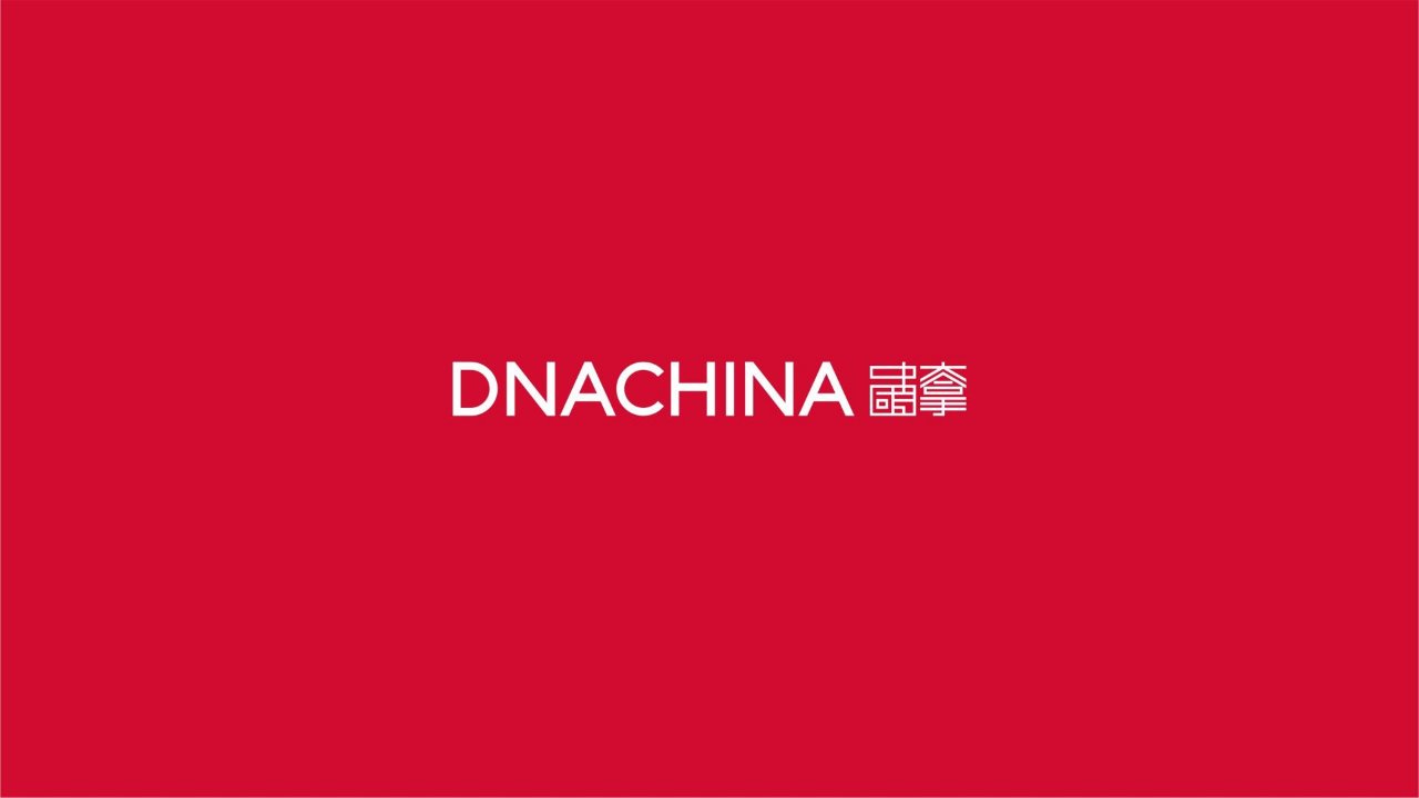 精品文档-大拿中国DNACHINA长房集团2020年品牌整合推广全案