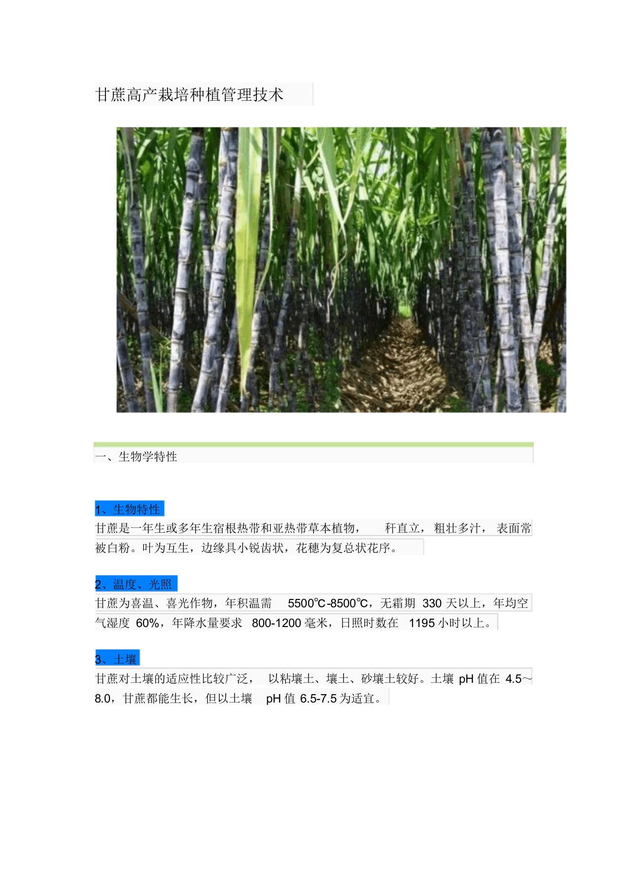 甘蔗高产栽培种植管理技术