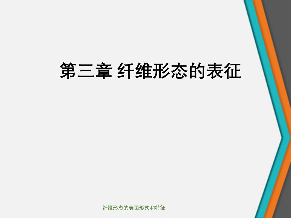 纤维形态的表面形式和特征