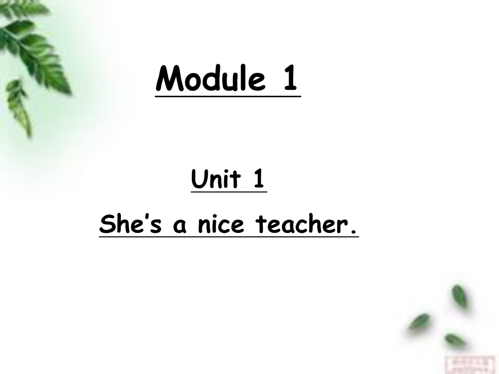 新外研版四年级下册M1-She27s-a-nice-teacher.课件