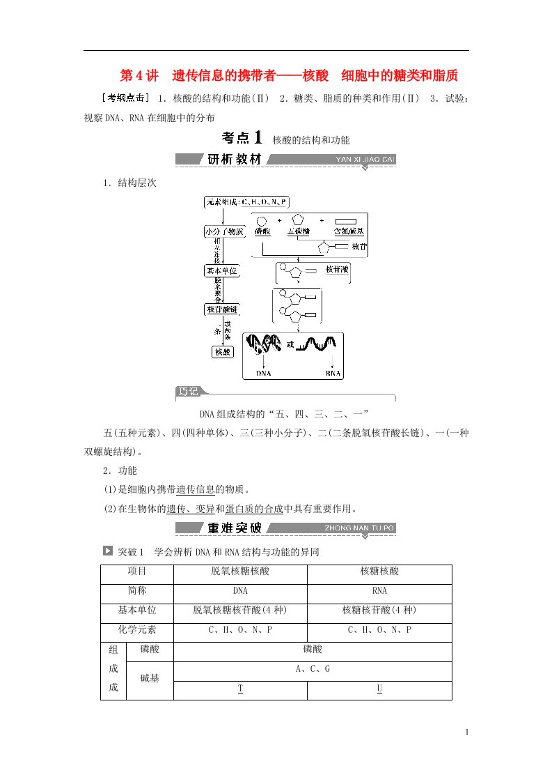 全国2024版高考生物大一轮复习第一单元细胞的分子组成第4讲遗传信息的携带者--核酸细胞中的糖类和脂质学案