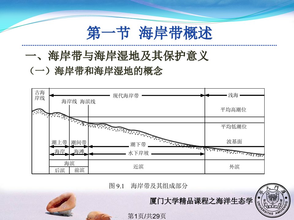 海岸带与浅海生态系统PPT课件