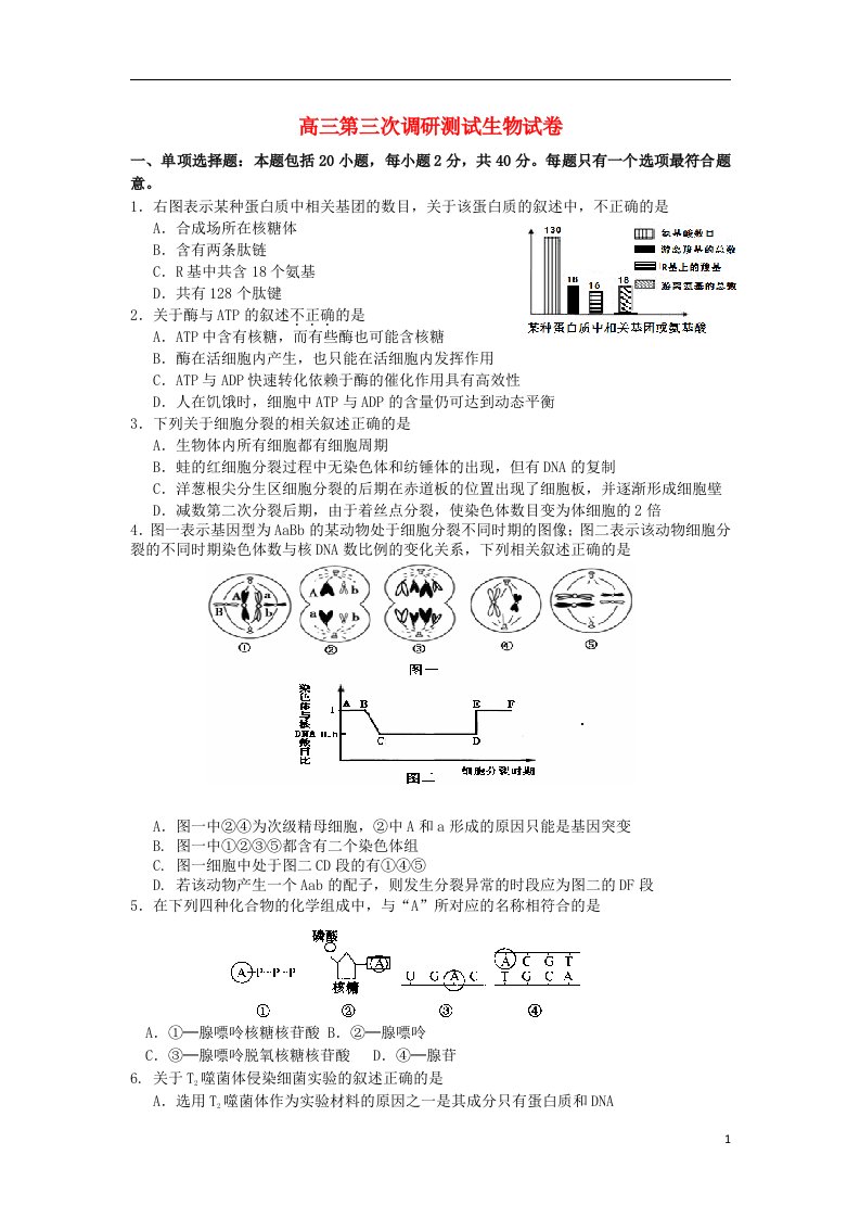 江苏省泰兴中学高三生物第三次调研测试试题苏教版