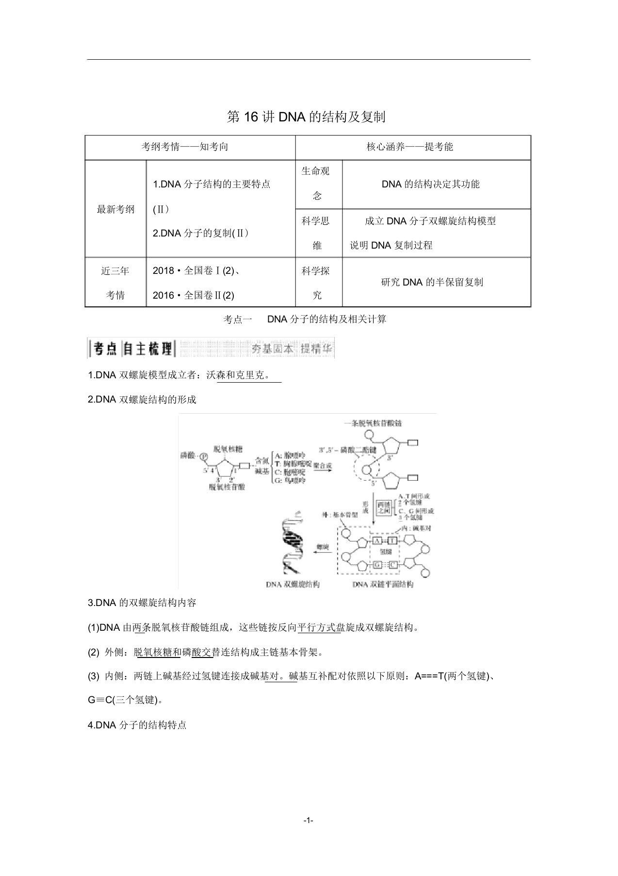 高考生物总复习第16讲DNA的结构及复制教案中图版