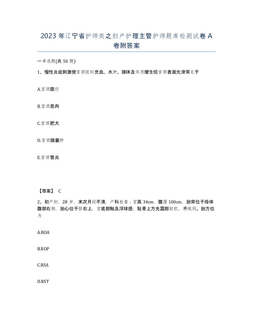 2023年辽宁省护师类之妇产护理主管护师题库检测试卷A卷附答案