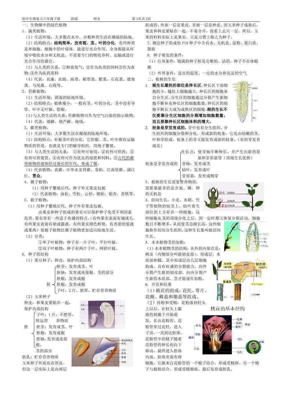 初中生物复习六年级下册知识点总结