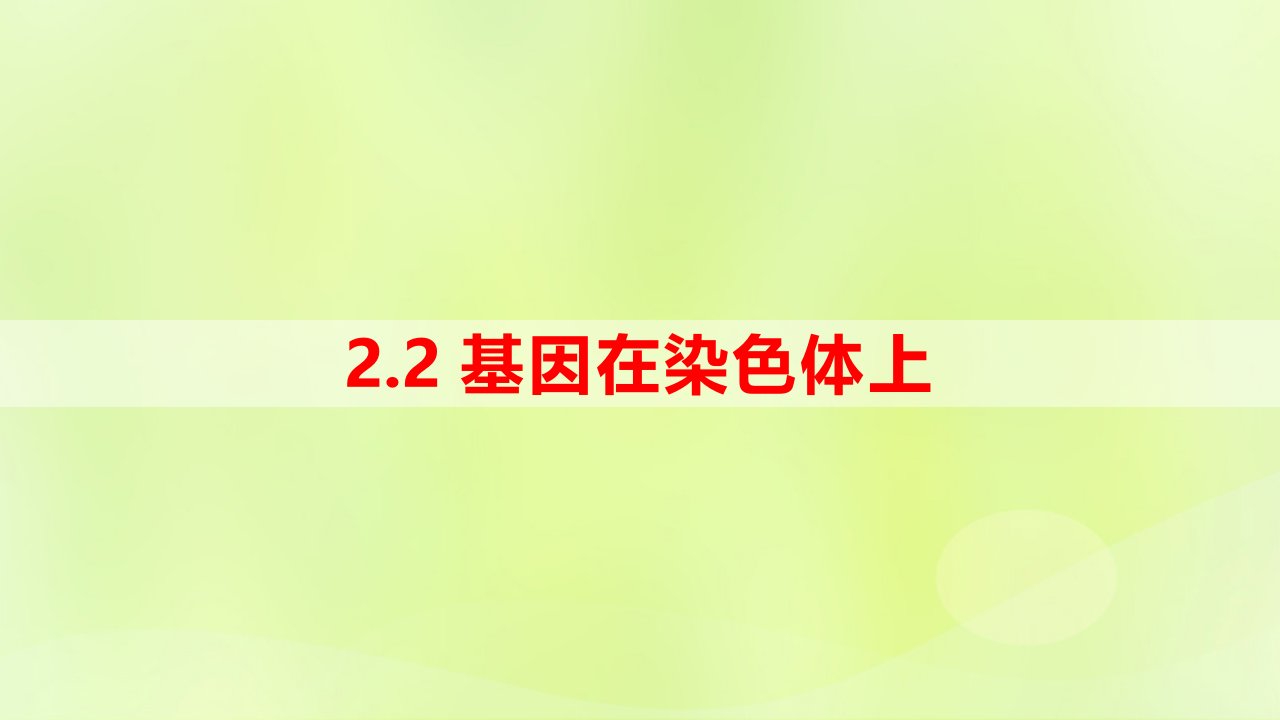 新教材同步备课2024春高中生物第2章基因和染色体的关系2.2基因在染色体上课件新人教版必修2