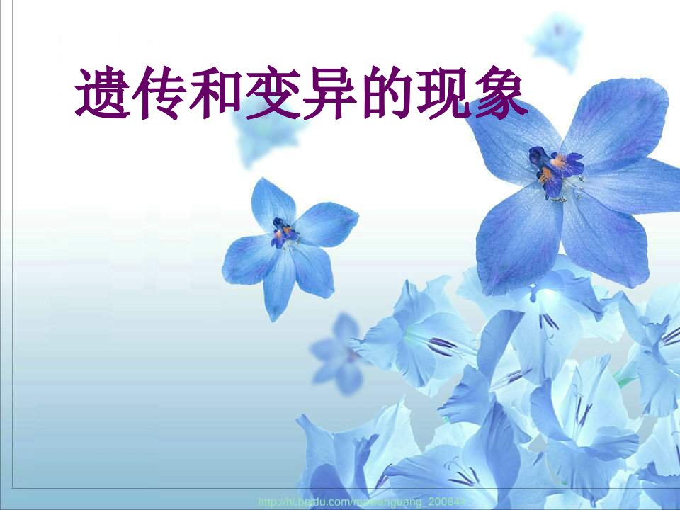 遗传和变异现象-北师大版八上课件教案讲解