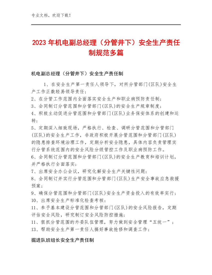 2023年机电副总经理（分管井下）安全生产责任制规范多篇