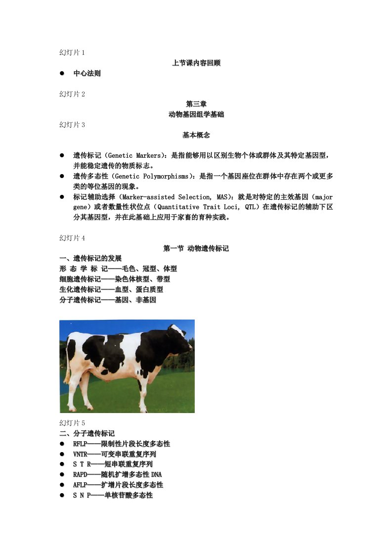 动物基因组学基础