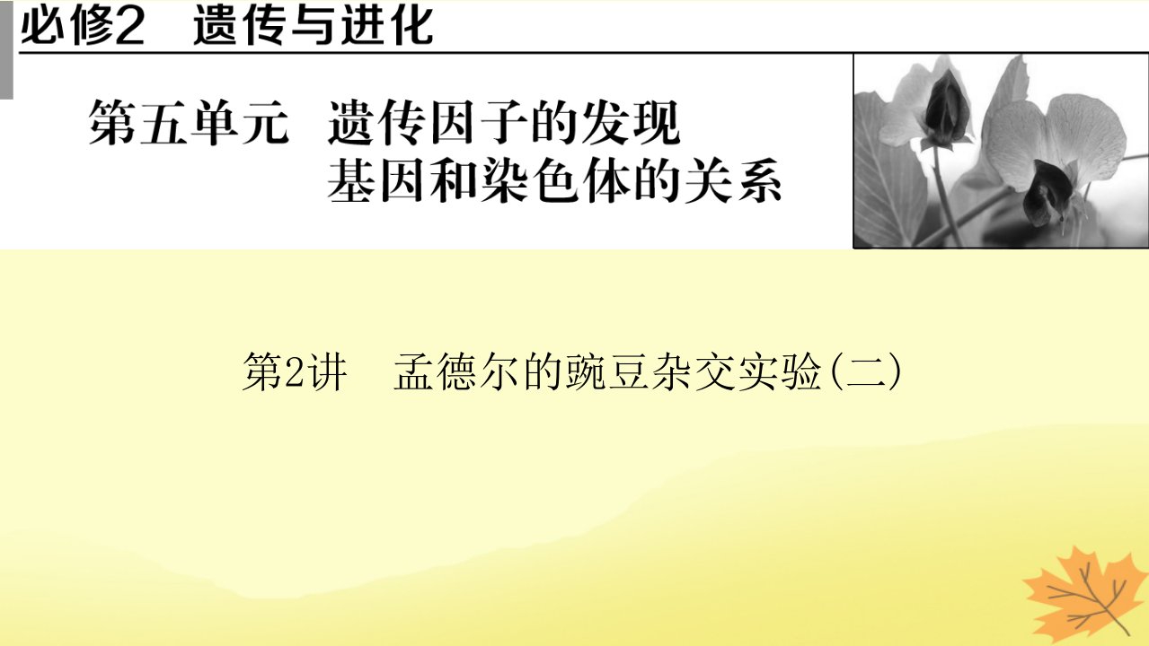 2023版高考生物一轮总复习第5单元遗传因子的发现基因和染色体的关系第2讲孟德尔的豌豆杂交实验二课件