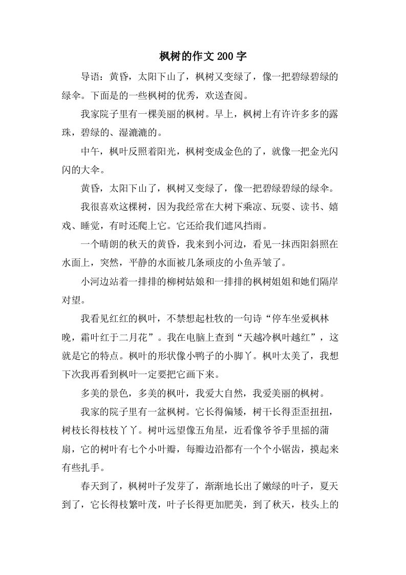 枫树的作文200字