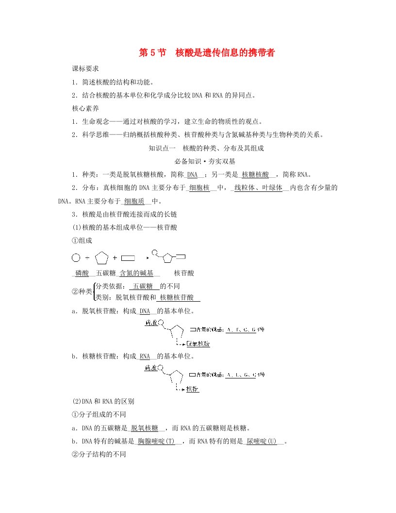 新教材适用2023_2024学年高中生物第2章组成细胞的分子第5节核酸是遗传信息的携带者学案新人教版必修1