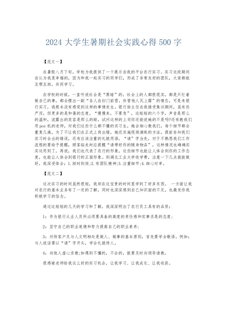 总结报告2024大学生暑期社会实践心得500字