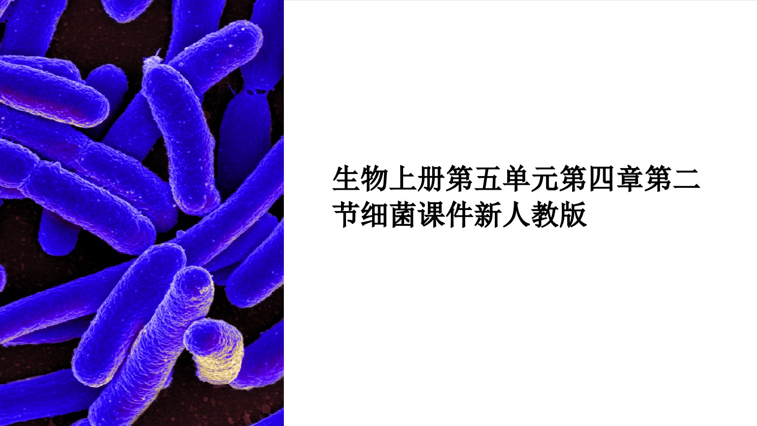 生物上册第五单元第四章第二节细菌课件新人教版