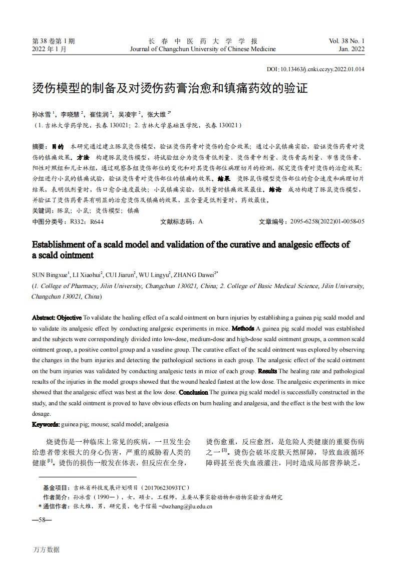 烫伤模型的制备及对烫伤药膏治愈和镇痛药效的验证