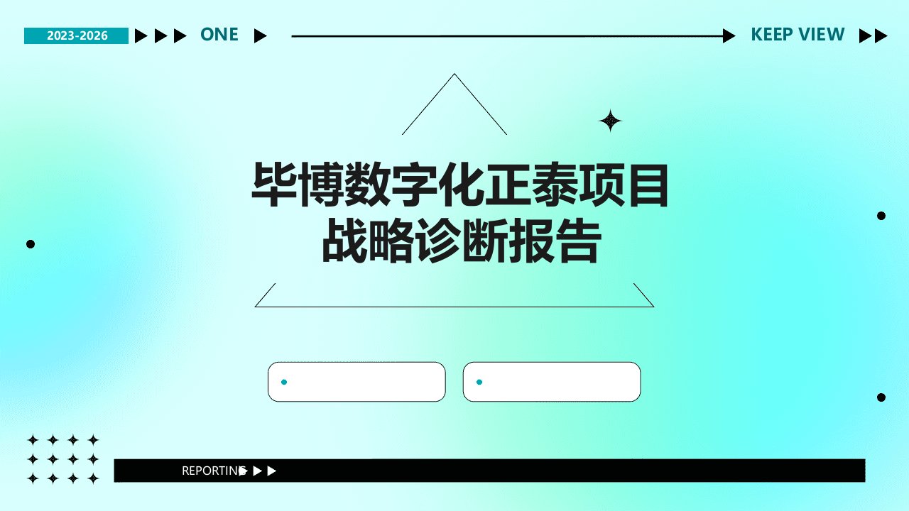 毕博数字化正泰项目战略诊断报告