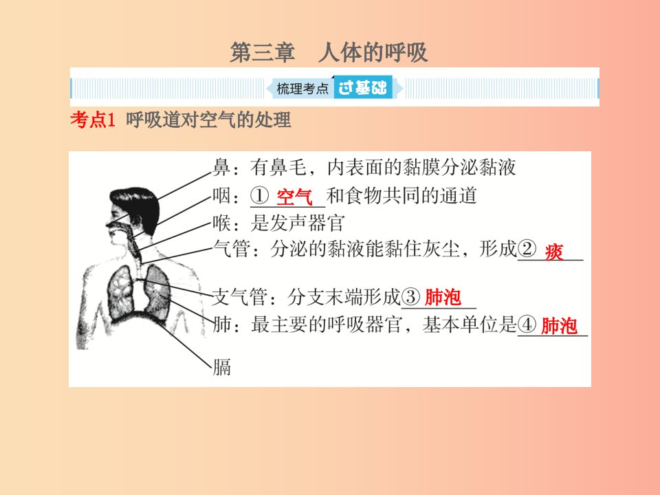 （聊城专版）山东省2019年中考生物总复习