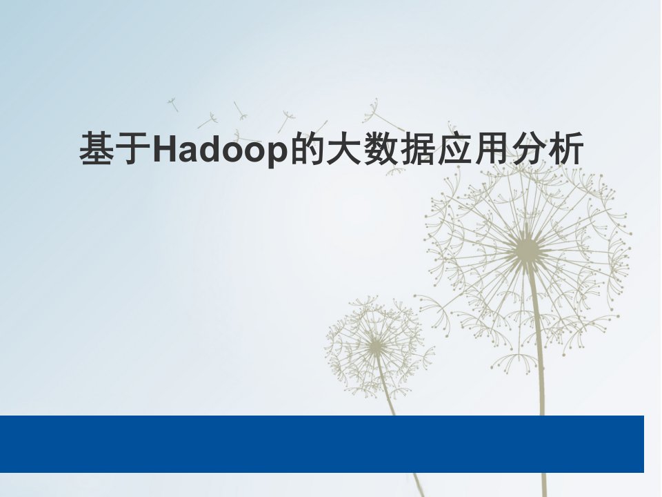 基于Hadoop的大数据应用分析45